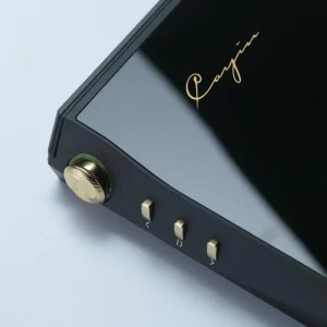 Cayin N6III + C201 - Image 3