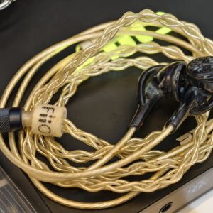 [สินค้า Demo]FiiO EM5